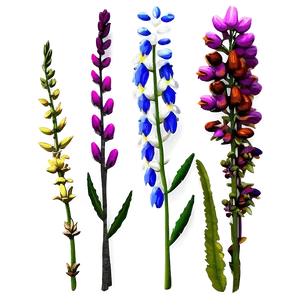 Wildflowers In Detail PNG 06202024