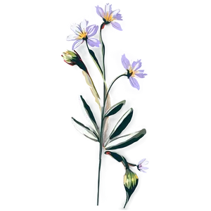Wildflowers In Detail PNG 40
