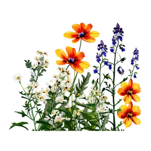 Wildflowers In Full Color PNG 06202024