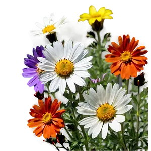 Wildflowers In Full Color Png 58 PNG image