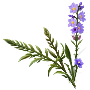 Wildflowers In Full Color PNG Pcv PNG