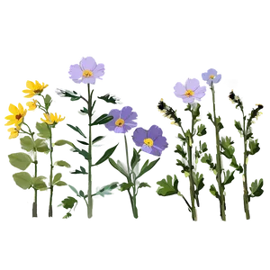 Wildflowers In Soft Light Png Nqo PNG image