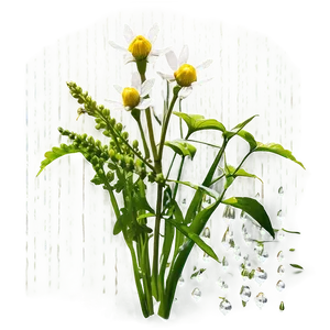 Wildflowers In The Rain PNG 06202024