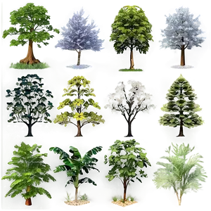 Wildlife Habitat Trees PNG 05042024 PNG