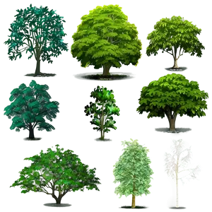 Wildlife Habitat Trees PNG Cby81 PNG