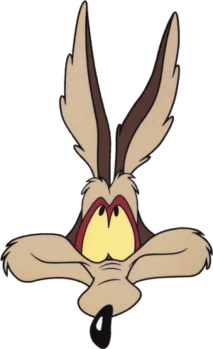 Wile_ E_ Coyote_ Frustrated_ Look PNG image