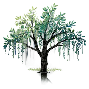 Willow Tree Line Art Png 89 PNG image