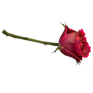 Wilted Rose Petals PNG Beb PNG