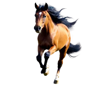Wind Swept Mane Running Horse PNG 06292024 PNG