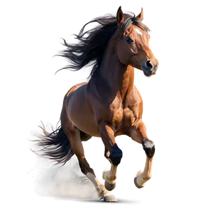 Wind Swept Mane Running Horse PNG Gqo43 PNG