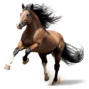 Wind Swept Mane Running Horse PNG Vxd PNG