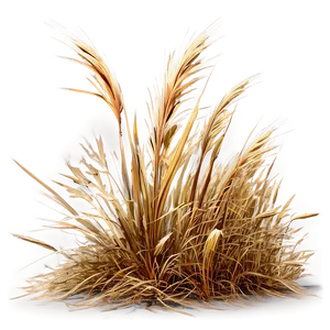 Windblown Dry Grass Png 06262024 PNG image