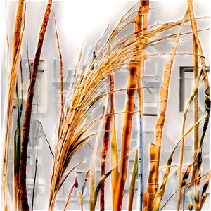 Windblown Dry Grass Png 06262024 PNG image