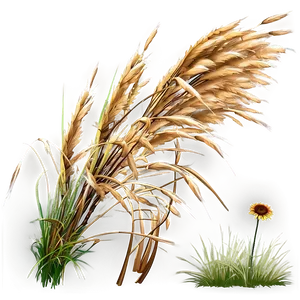 Windblown Dry Grass Png 8 PNG image