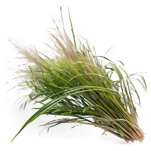 Windblown Grass Field Png Dop PNG image