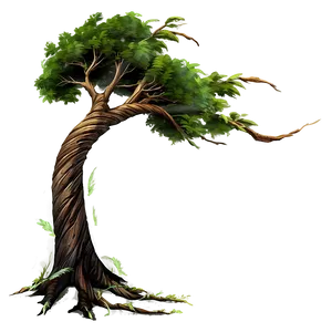 Windblown Tree Design PNG 34 PNG