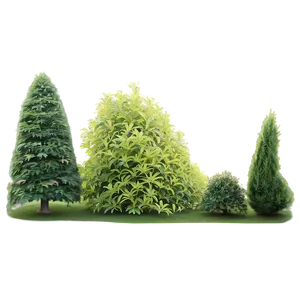 Windbreak Shrubs PNG Mqr PNG