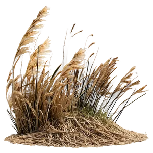 Windswept Dry Grass PNG Lbp