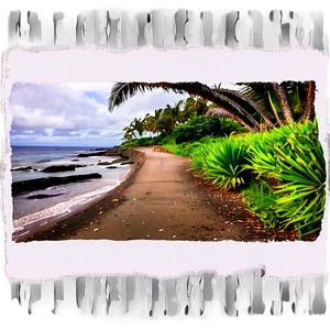 Windy Coastal Trail PNG 16 PNG