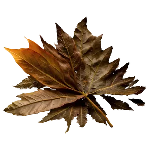 Windy Day Fallen Leaves Png Jpy66 PNG image