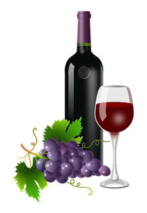 Wine Bottle Glass Grapes Vector