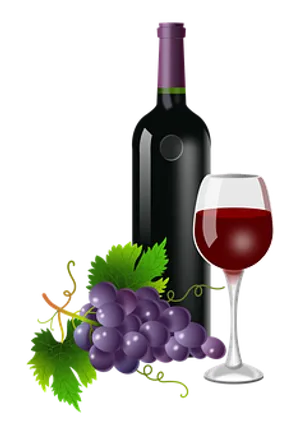 Wine Bottle Glass Grapes Vector PNG image