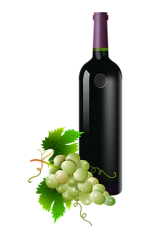 Wine Bottleand Grapes Vector