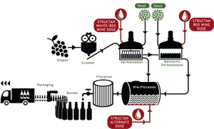 Wine Production Process Flowchart PNG image