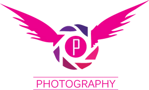 Winged Camera Photography Logo PNG image