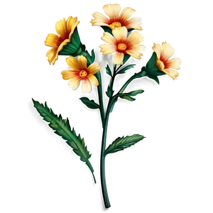 Winsome Wildflower PNG 06252024 PNG