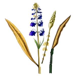 Winsome Wildflower PNG Car PNG