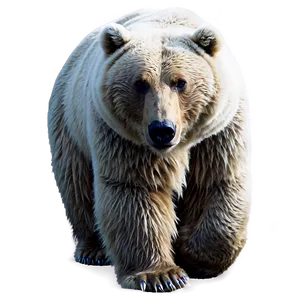 Winter Bear Png 06112024 PNG image