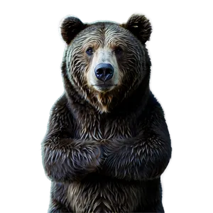 Winter Bear Png 28 PNG image