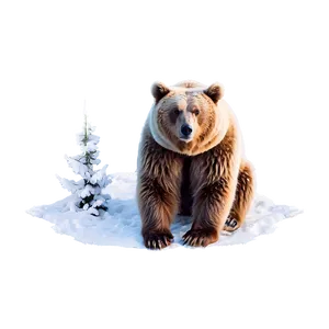 Winter Bear PNG Ayl