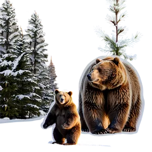 Winter Bear PNG Qcu