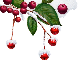 Winter Berries In Snow Png 04292024 PNG image