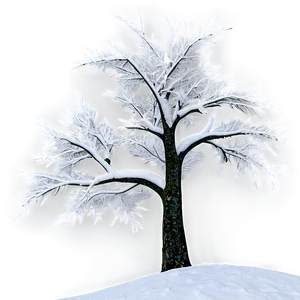 Winter Blizzard Scene PNG 06242024