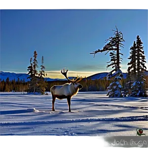 Winter Caribou Landscape Png 40 PNG image