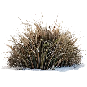 Winter Dead Grass Png 06282024 PNG image