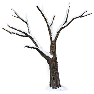 Winter Dead Tree PNG 62