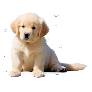 Winter Golden Retriever Puppy Png 06252024 PNG image