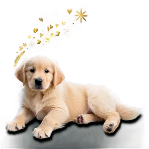 Winter Golden Retriever Puppy PNG 74