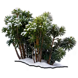 Winter Hardy Shrubs PNG Vub76 PNG