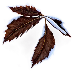 Winter Leaves PNG 05042024