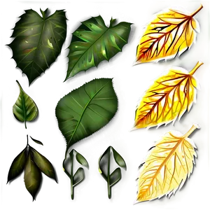 Winter Leaves PNG 19