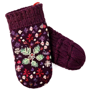 Winter Mittens Pair PNG Wsa