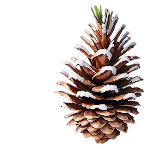 Winter Pine Cone Png 06202024 PNG image