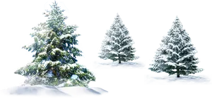 Winter Pine Trees Coveredin Snow PNG