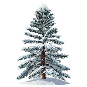 Winter Pine Trees In Snow Png 06292024 PNG image