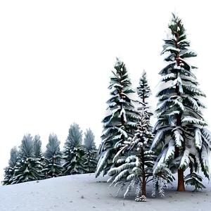 Winter Pine Trees In Snow Png Bkm PNG image